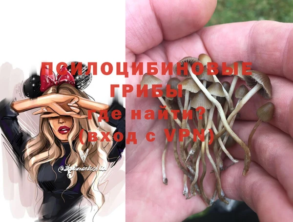 прущая мука Армянск