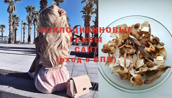 спиды Баксан
