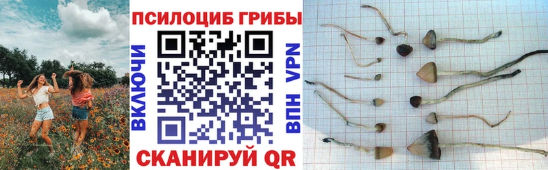 Купить  Ишим  Галлюциногенные грибы ЛСД 